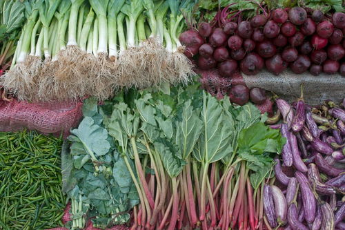 蔬菜的分類(lèi)及其多樣性