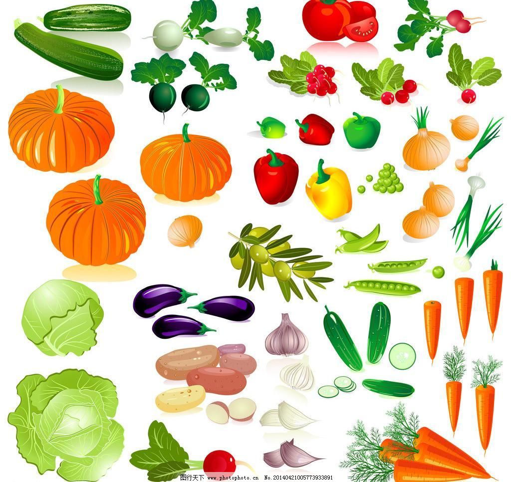 蔬菜之美 大蒜、番茄、橄欖、胡蘿卜與黃瓜的營養(yǎng)與烹飪探秘